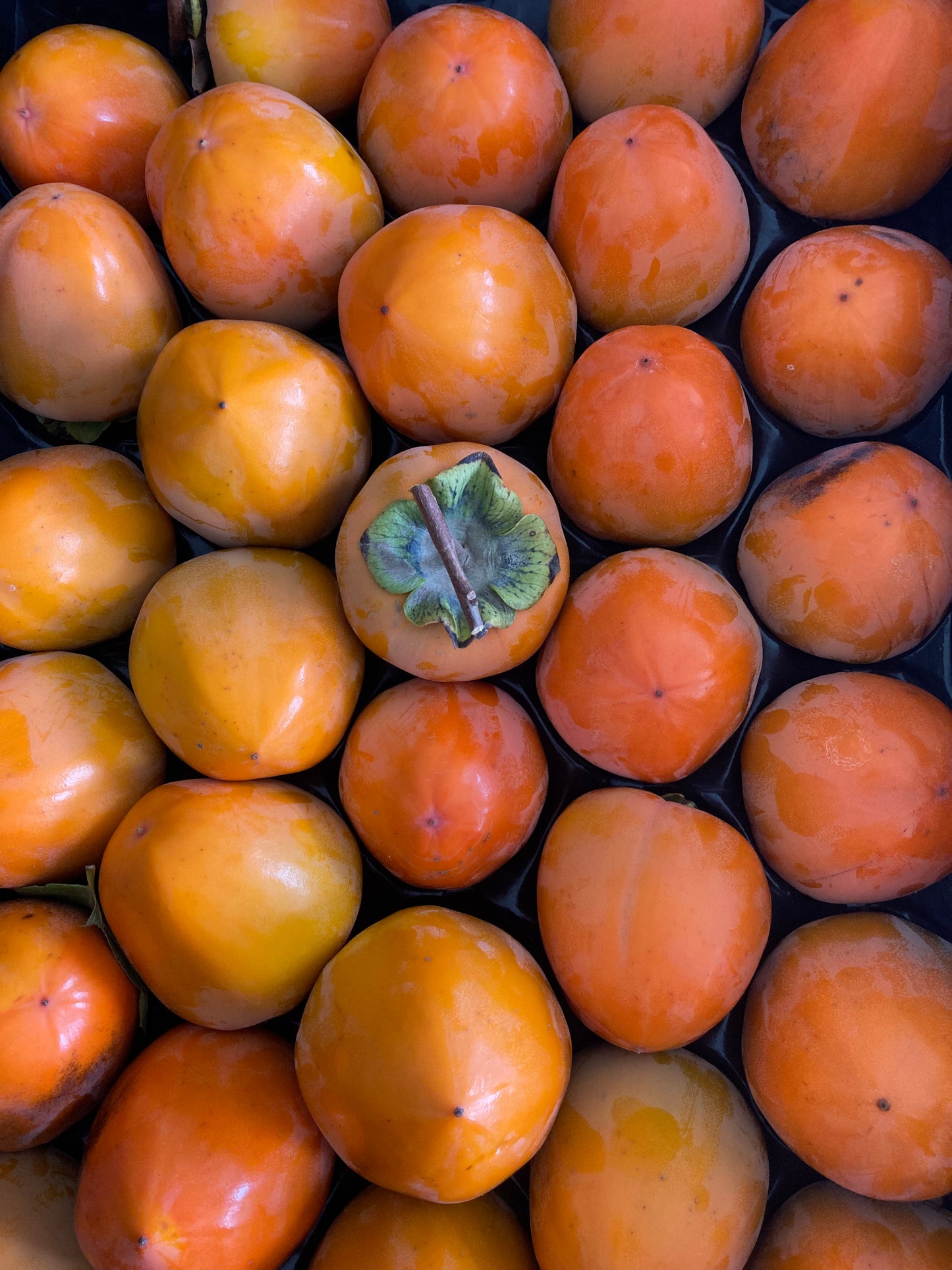 Dried California Persimmons